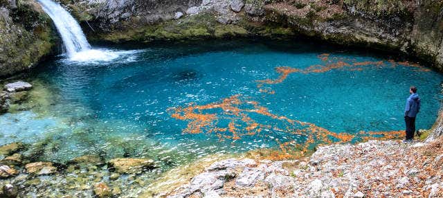 Excursion à la source Blue Eye