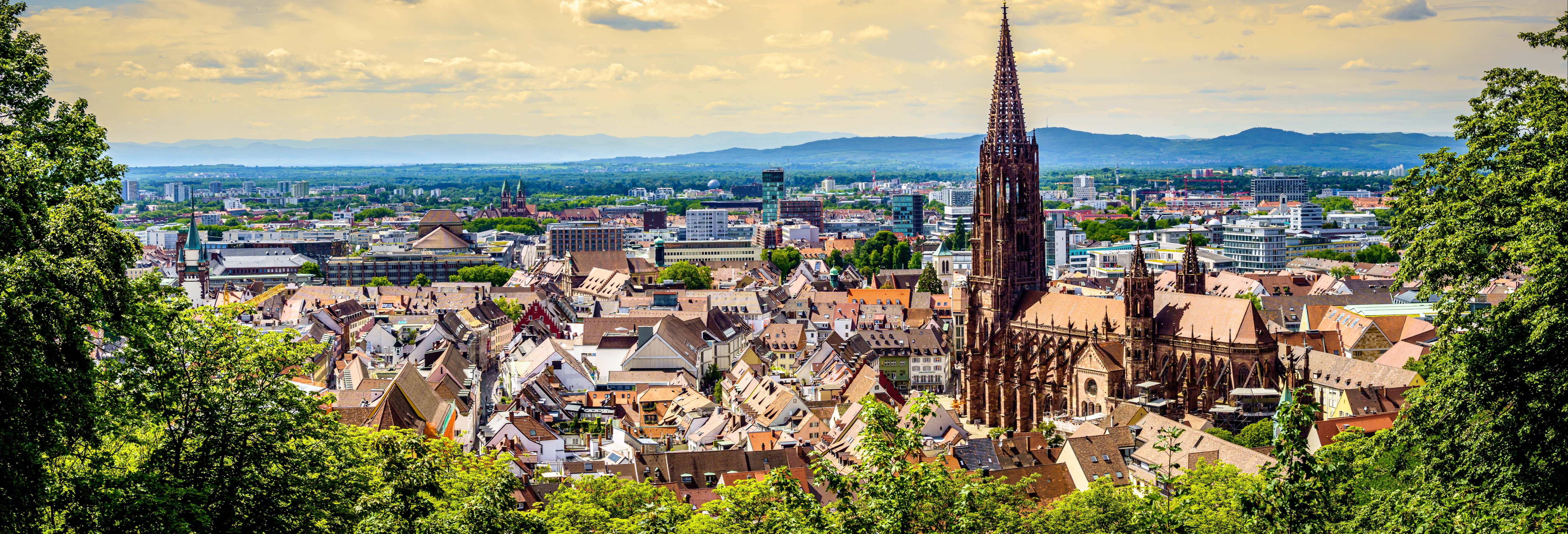 Tour privado por Friburgo de Brisgovia con guía en español