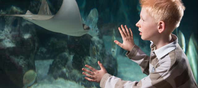 SEA LIFE® Ticket