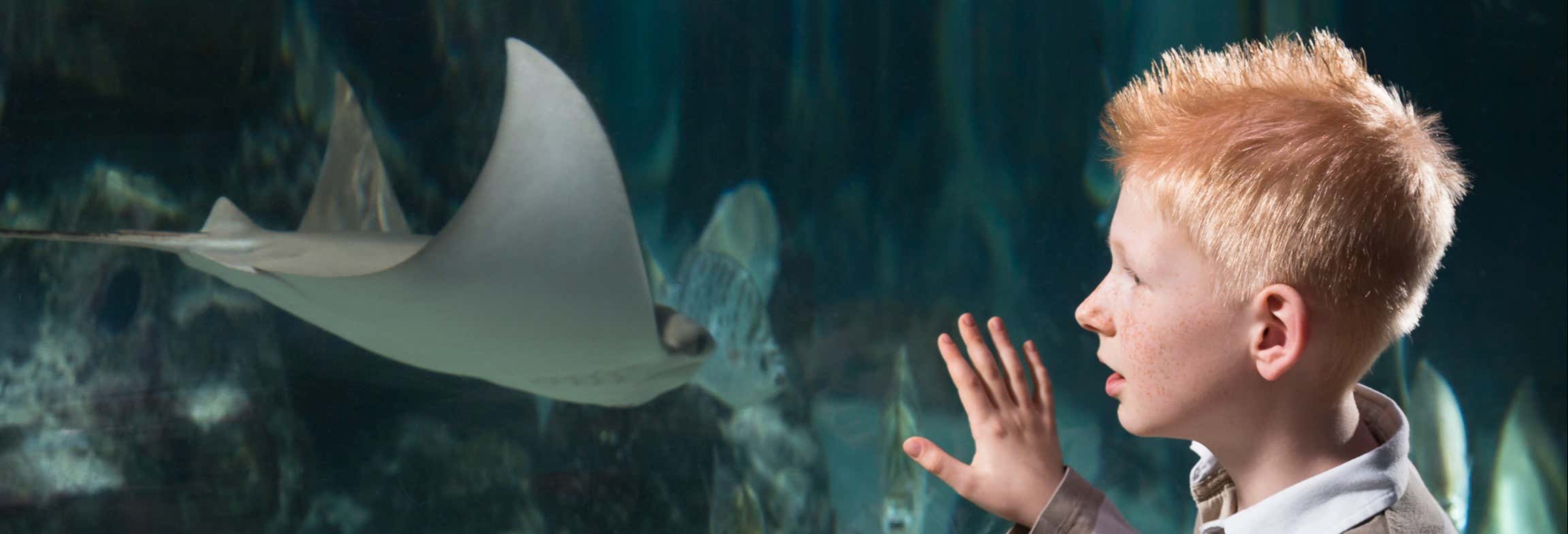Ingresso do SEA LIFE® Hannover