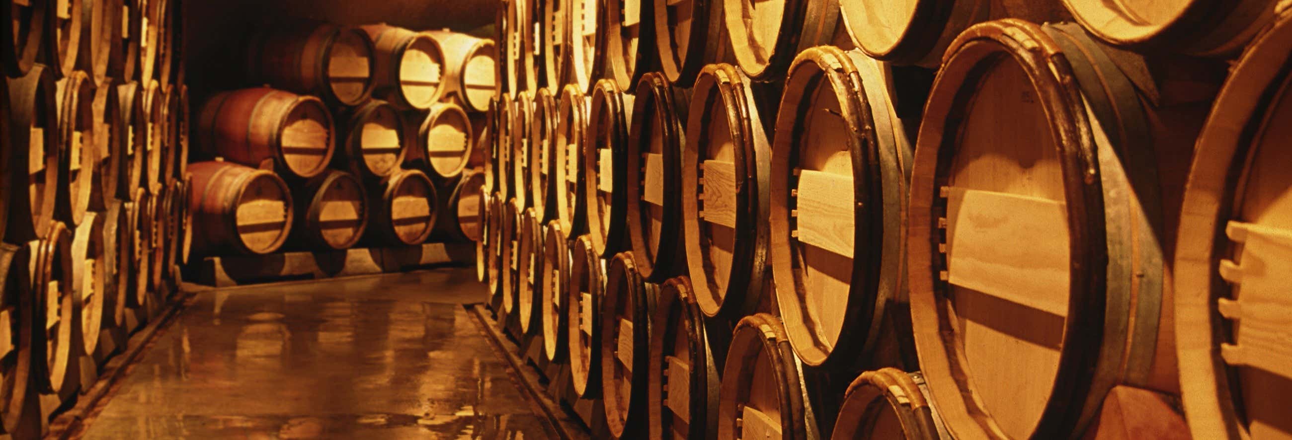 Tour por el Valle de Calingasta + Cata de vinos