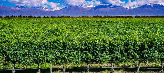 Excursión privada a las bodegas de Mendoza en avión, Buenos Aires