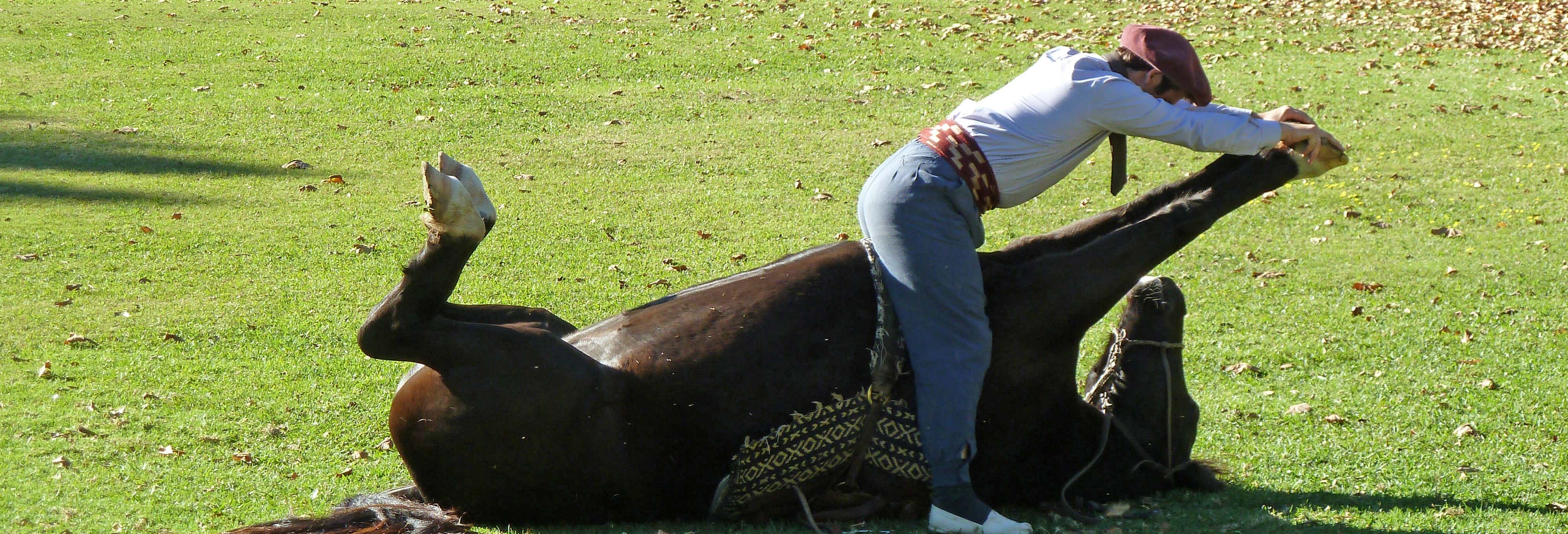 Excursion d'une journée à la découverte de la culture gaucho