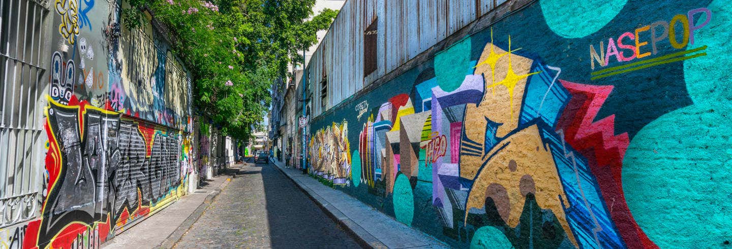 Tour di Street Art a Buenos Aires