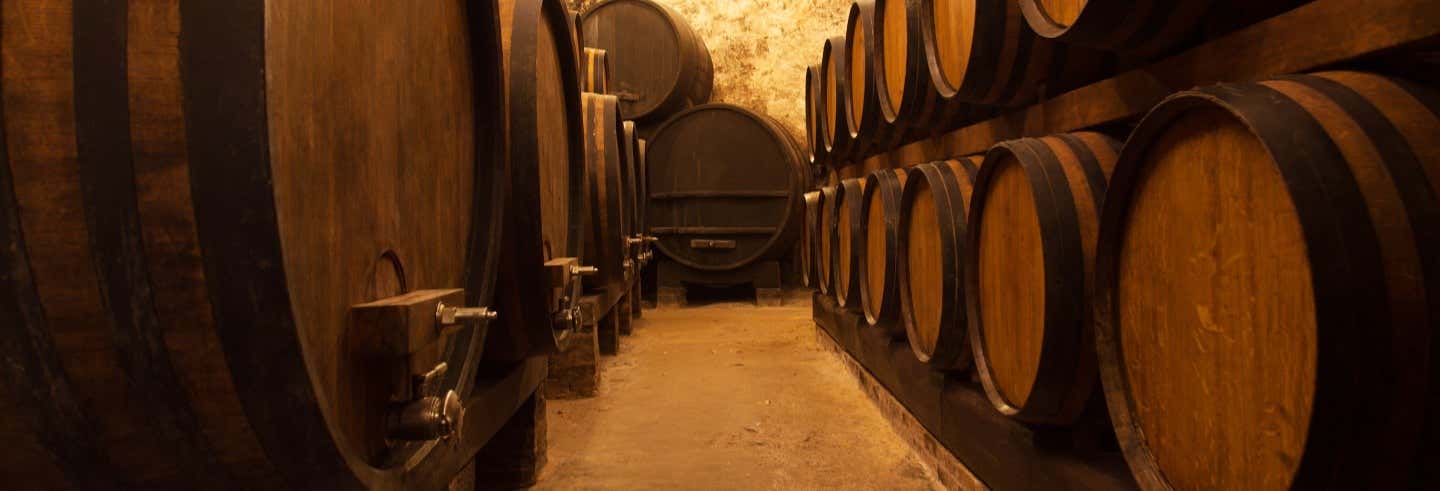 Tour de vinos, destilados y cervezas