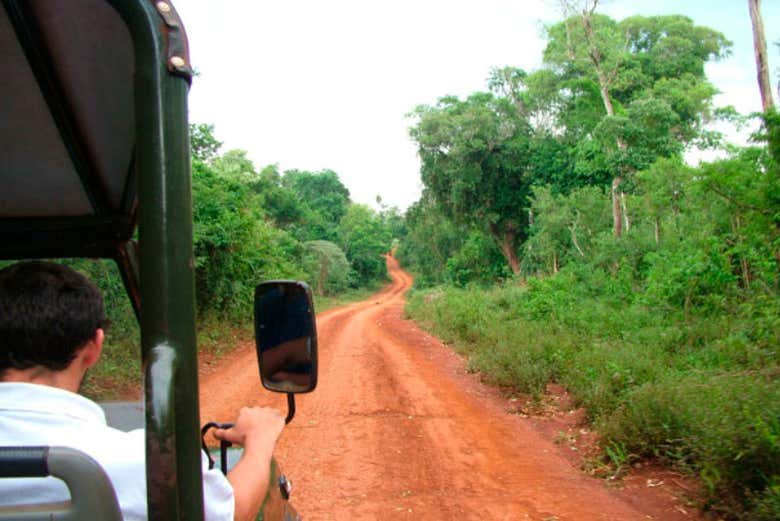 ,Excursión a Selva de Iguazú