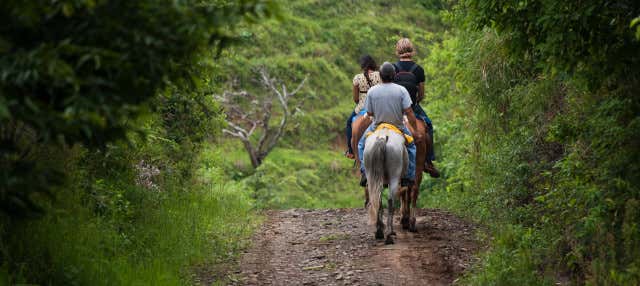 Horseback Ride & Guarani Village Tour
