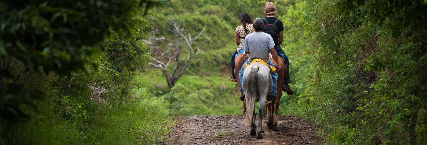 Passeio a cavalo pela selva + Visita a uma comunidade guarani