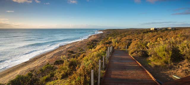 Excursión al norte de la Península Valdés