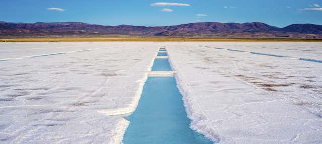 Excursión a las Salinas Grandes + Trekking por Los Colorados