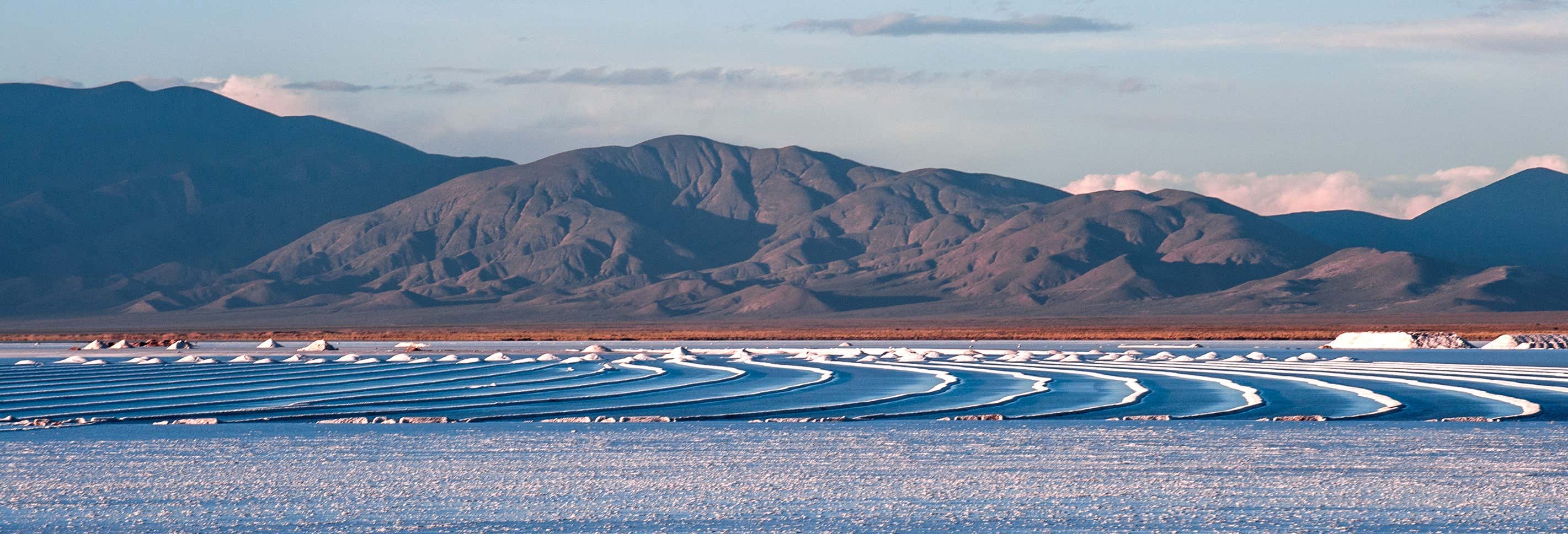 Excursión a las Salinas Grandes + Trekking por Los Colorados