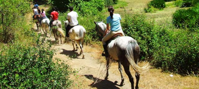 Paseo a caballo por el norte de Aruba