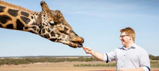 Biglietti per il Monarto Safari Park