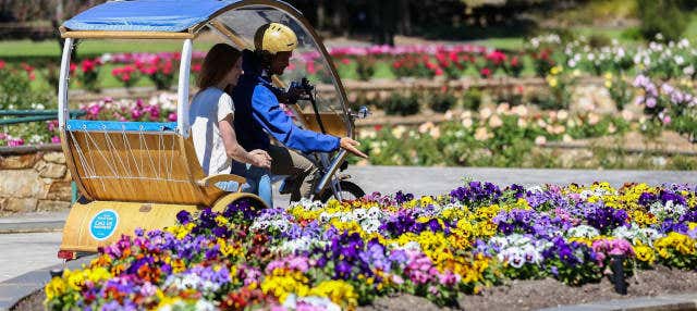 Rickshaw Tour of Adelaide