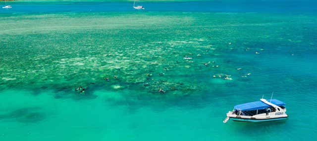 Excursión a Whitsundays en barco