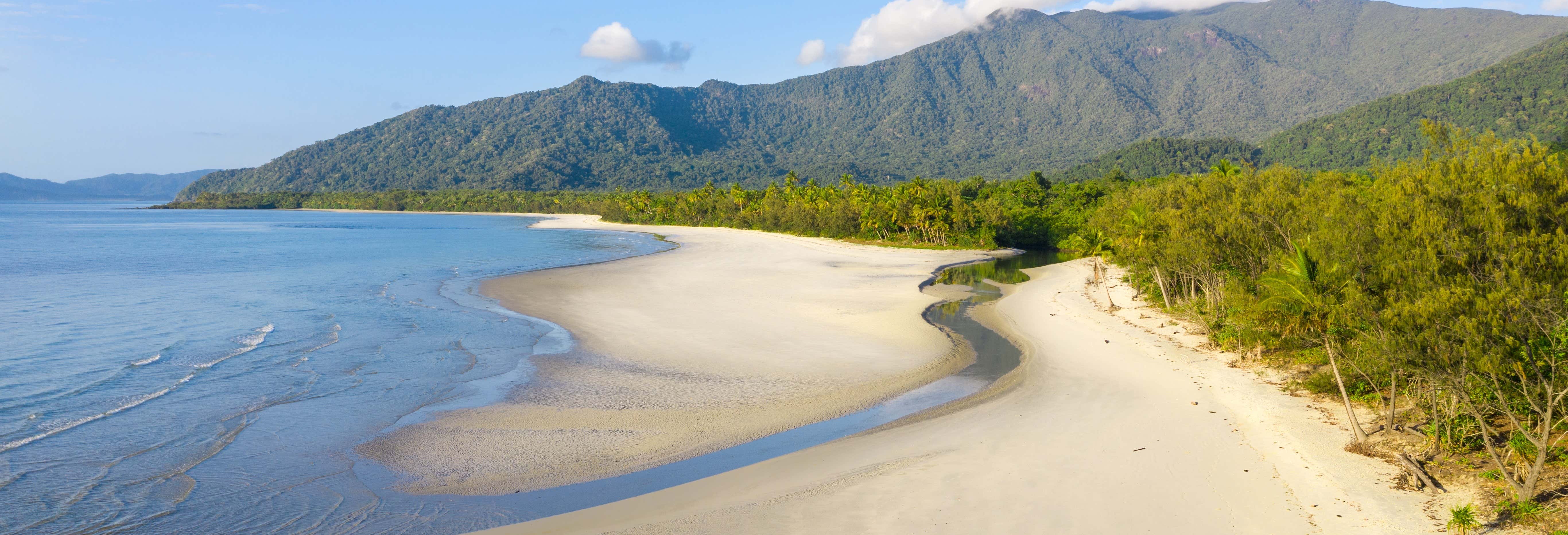 Daintree, Mossman Gorge & Cape Tribulation Tour