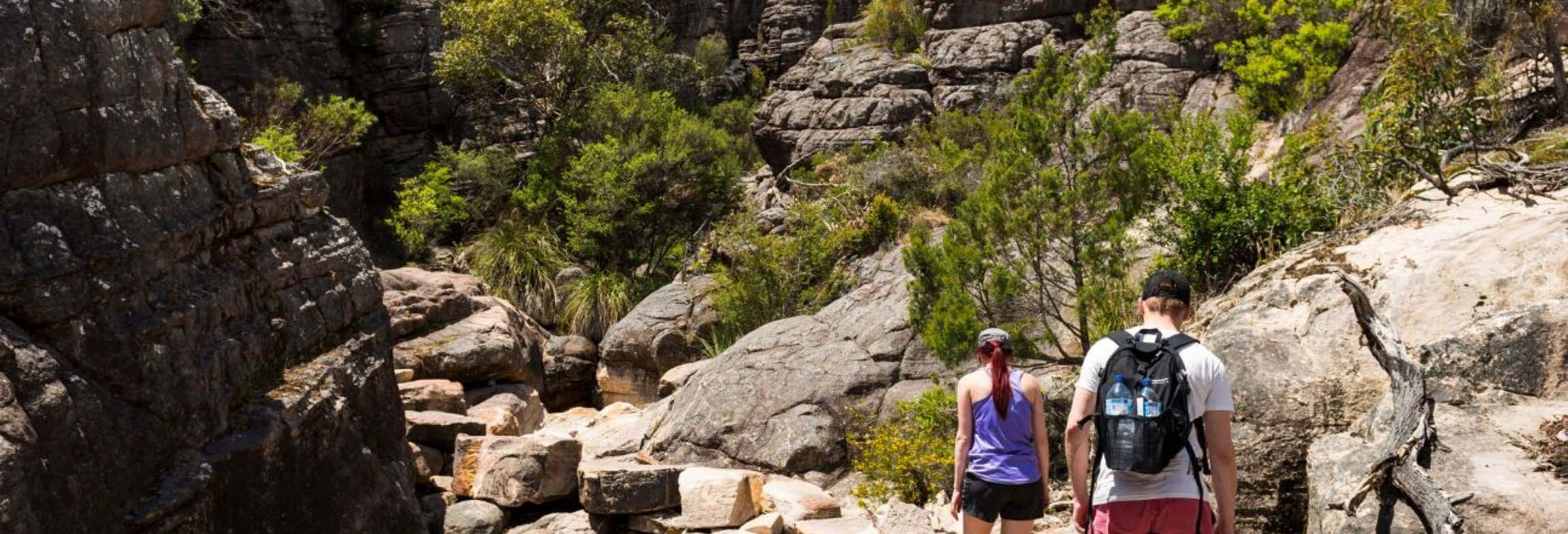 Excursión al Parque Nacional Grampians