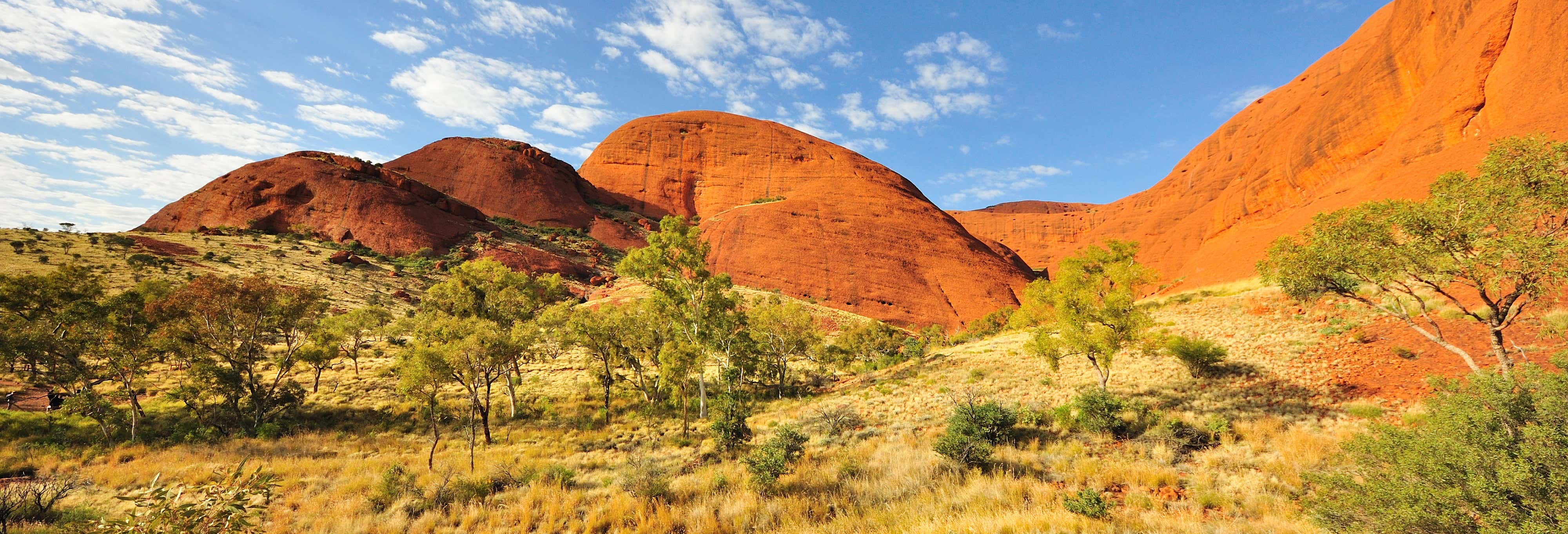 Alquiler de bicicleta en Uluru-Kata Tjuta