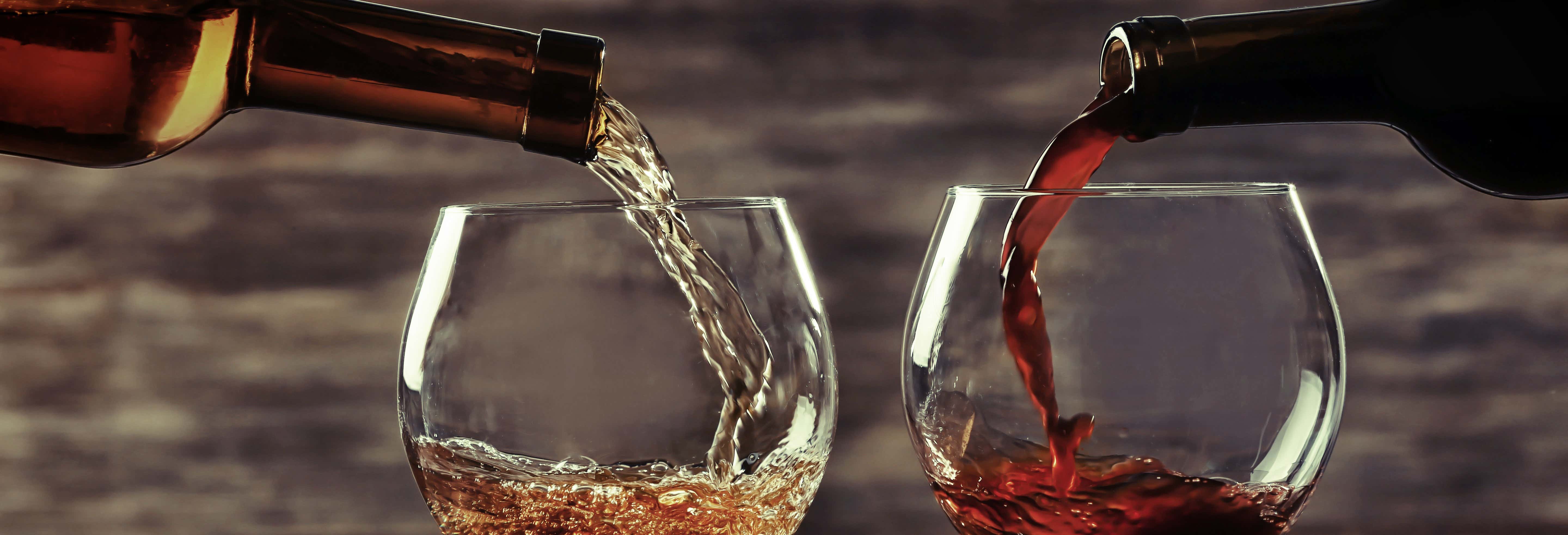 Cata de vinos en Viena