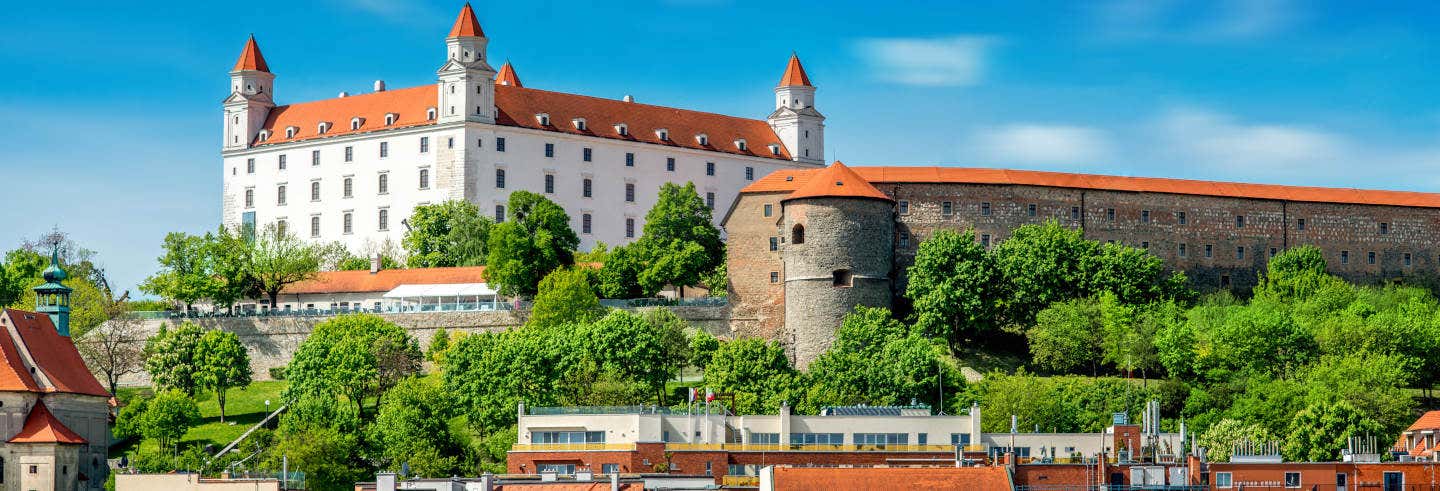 Bratislava Day Trip & Danube Cruise