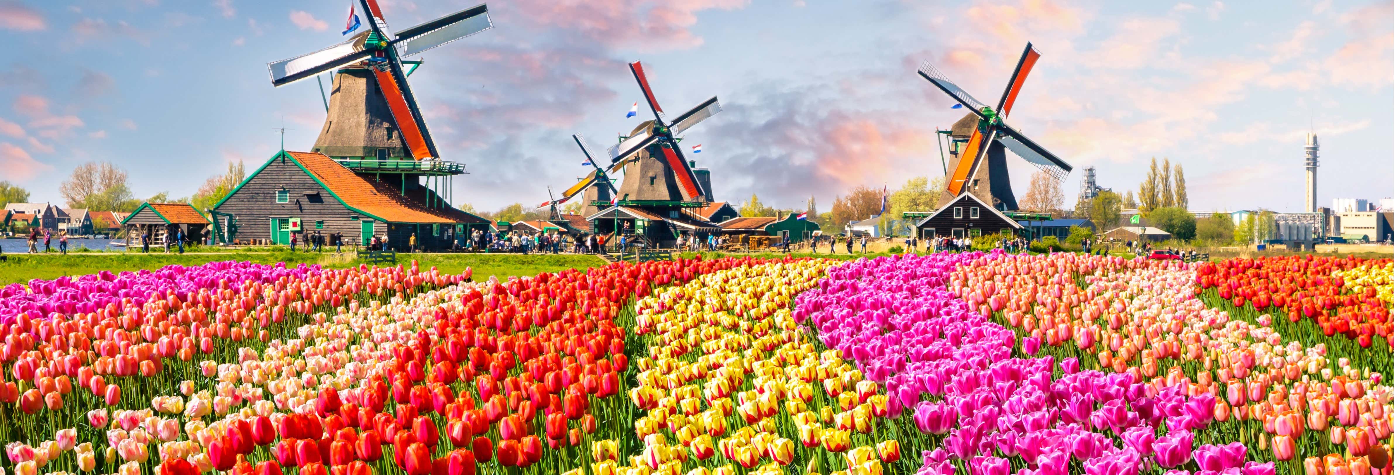 Excursión a Keukenhof y los molinos de Kinderdijk