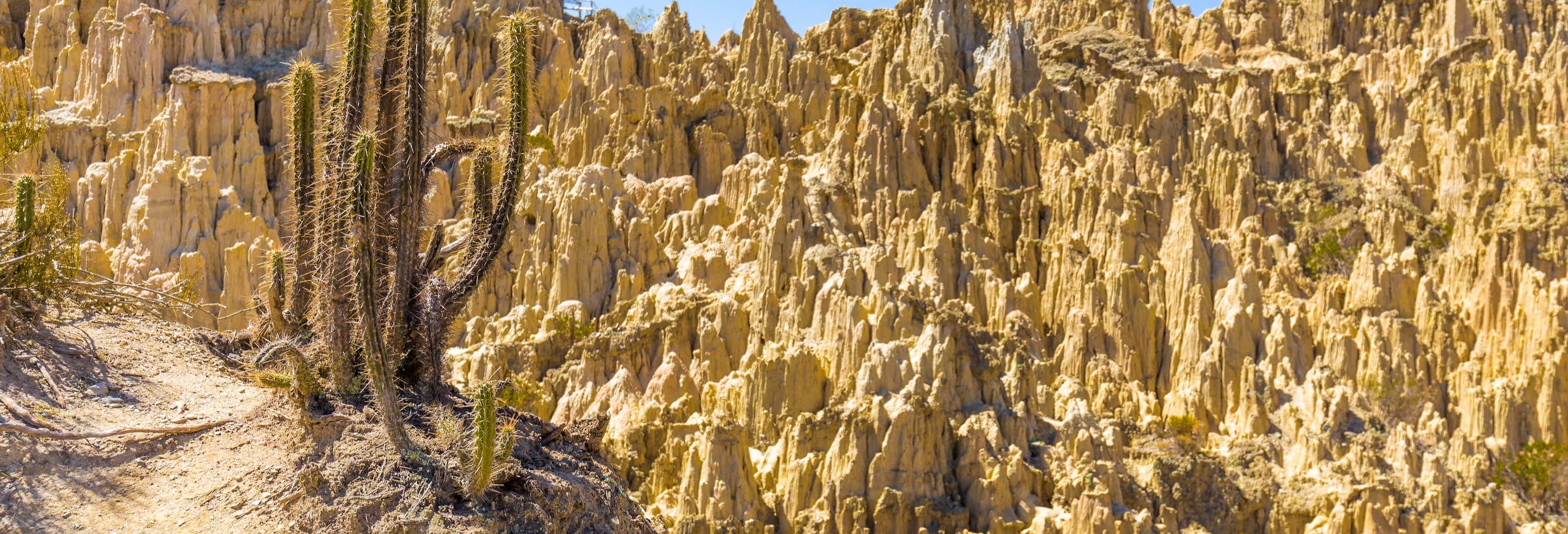 Excursión al Valle de la Luna y la Montaña Chacaltaya