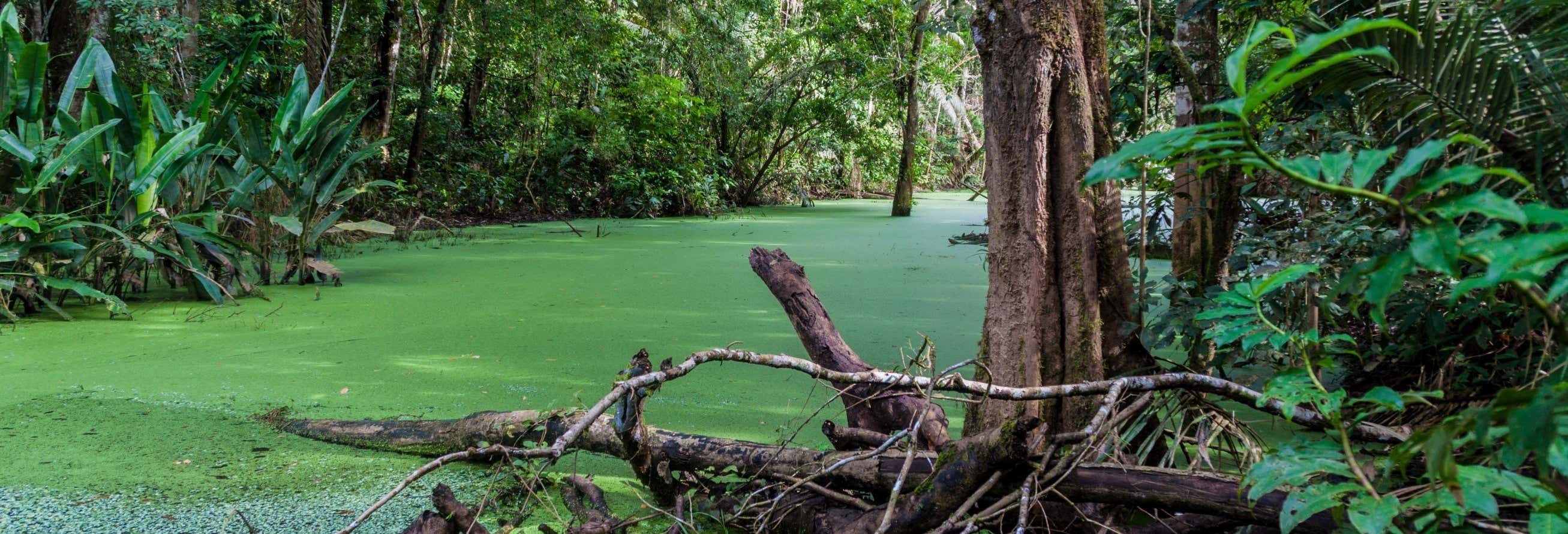 Parque Madidi y Pampas del Yacuma en 5 días