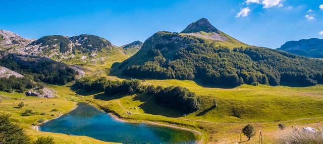 Excursão ao Parque Nacional Sutjeska