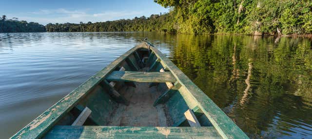 Excursion sur le fleuve Amazone