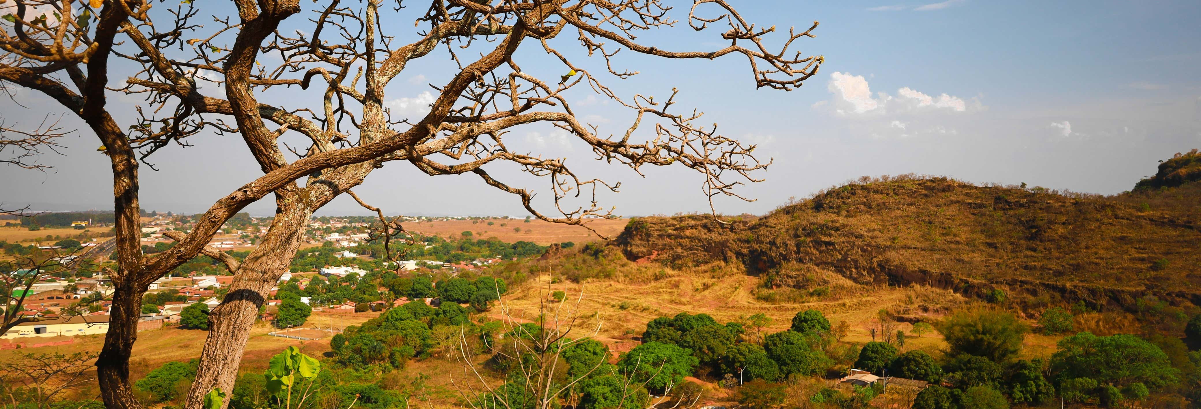Isla del Bananal y Parque del Cantão en 3 días