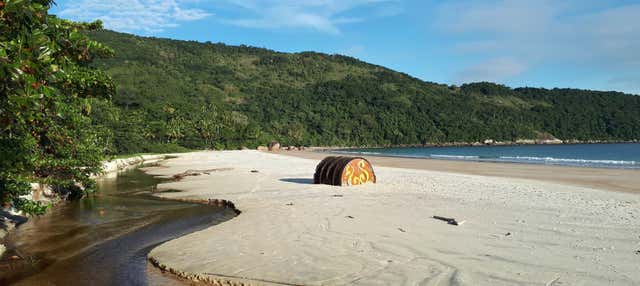 Excursion à l’Ilha Grande