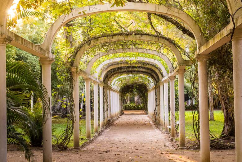 Visita guiada pelo Jardim Botânico do Rio de Janeiro