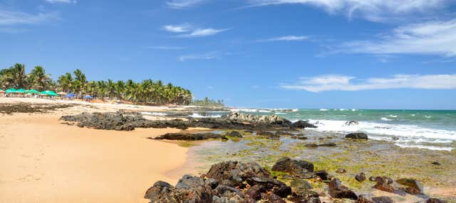 Tour pelas praias de Salvador
