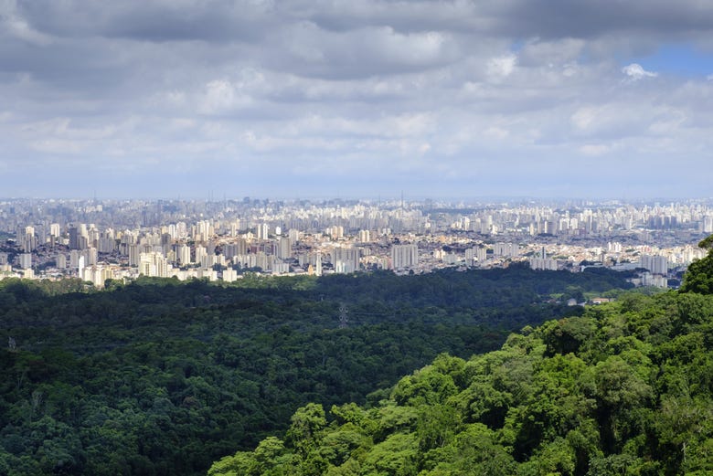 Activities, Guided Tours and Day Trips in Sao Paulo - Civitatis