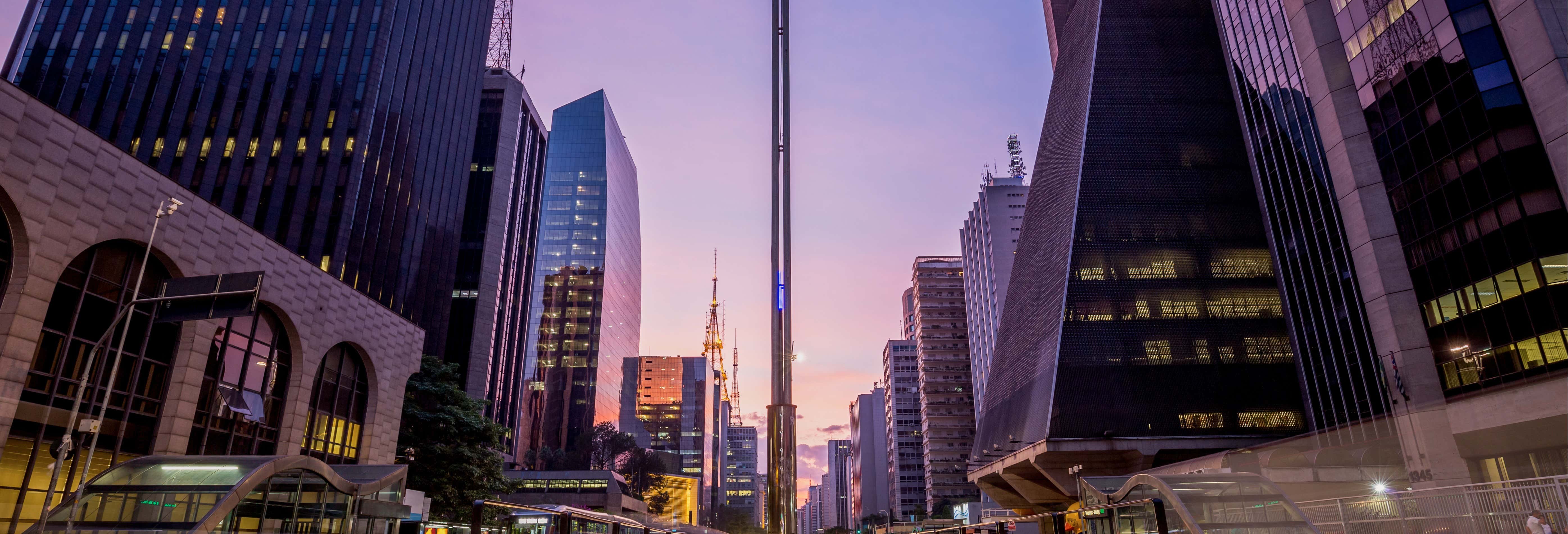 Visita guiada por la Avenida Paulista