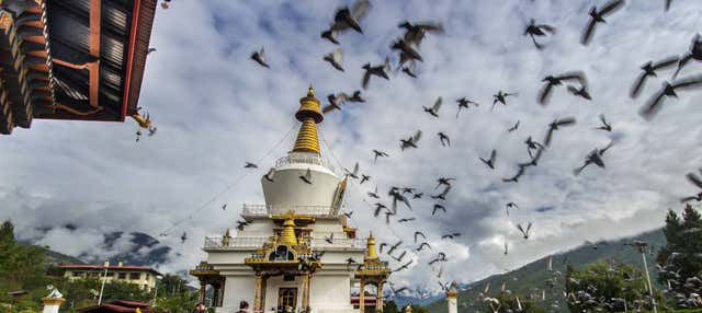 Circuito di 8 giorni nel Bhutan