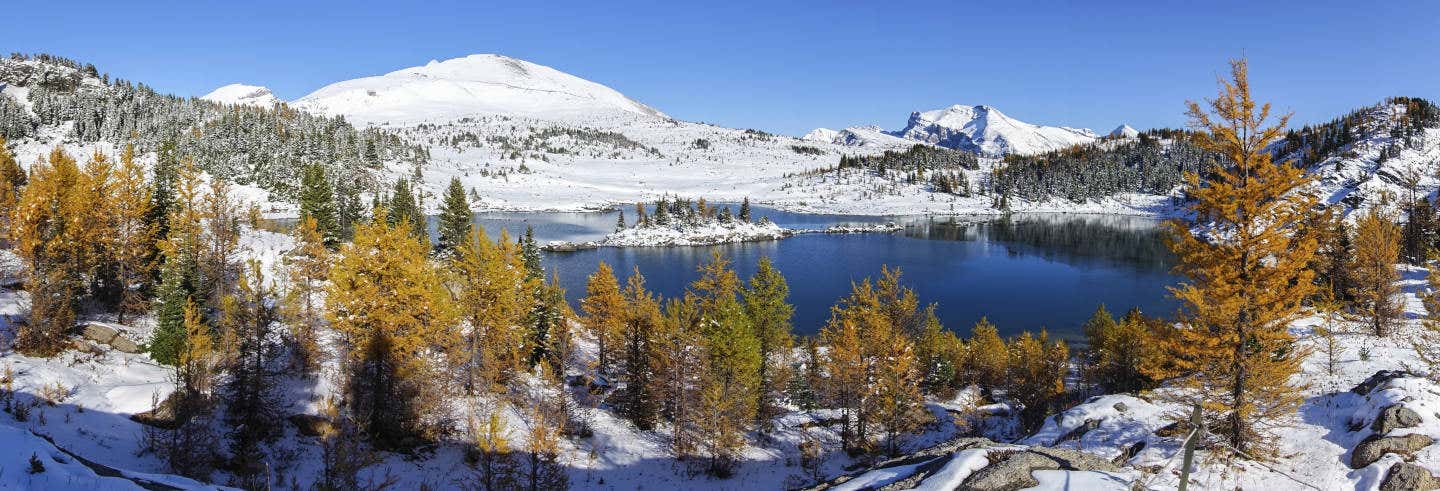 Passeggiata con le racchette da neve a Sunshine Meadows