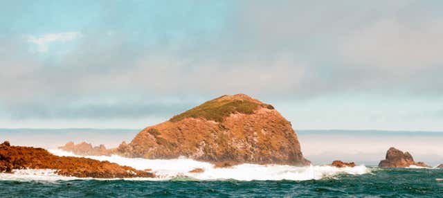 Chacao, Ancud et les plages de Chiloé