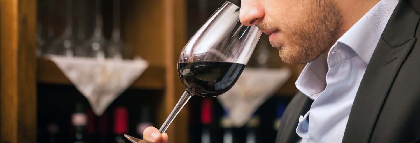 Cata de vinos chilenos