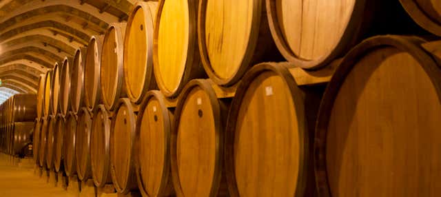 Excursão à Vinícola Concha y Toro