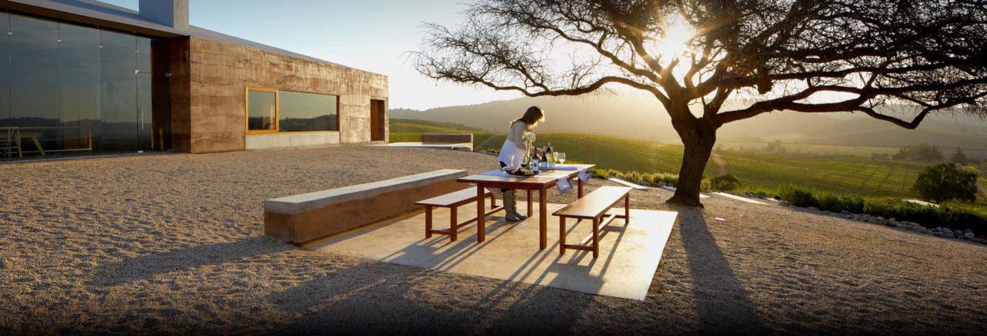 Visita a la viña Casas del Bosque