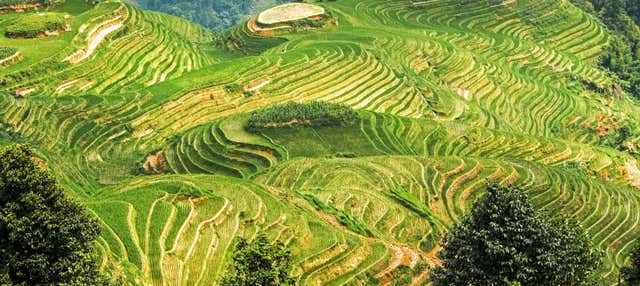 Tour pelos campos de arroz e aldeias de Longji