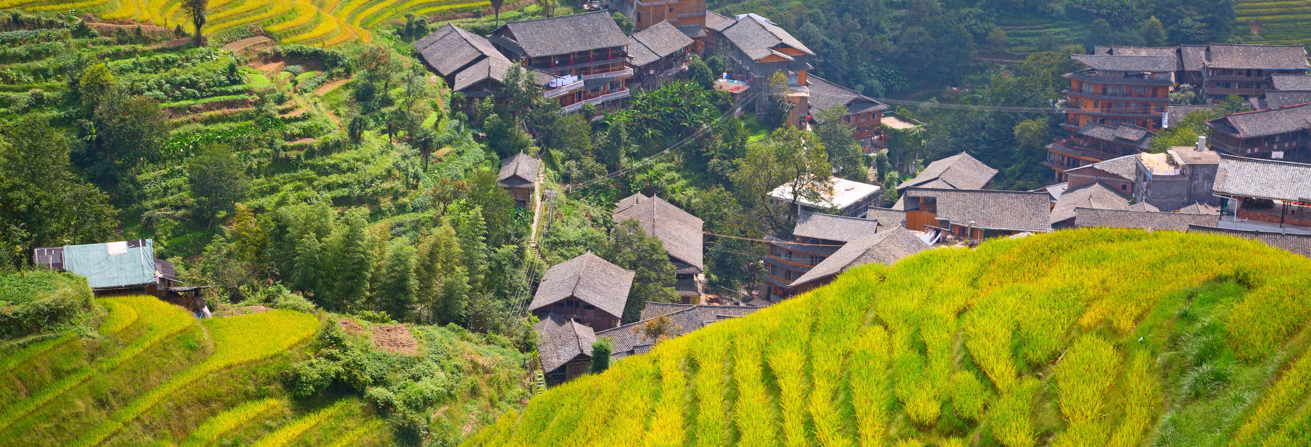 Tour por las terrazas de arroz