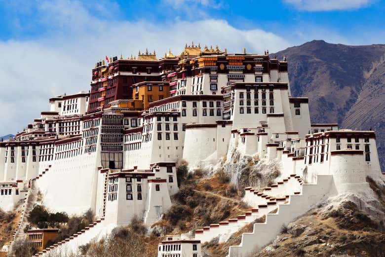 lhasa