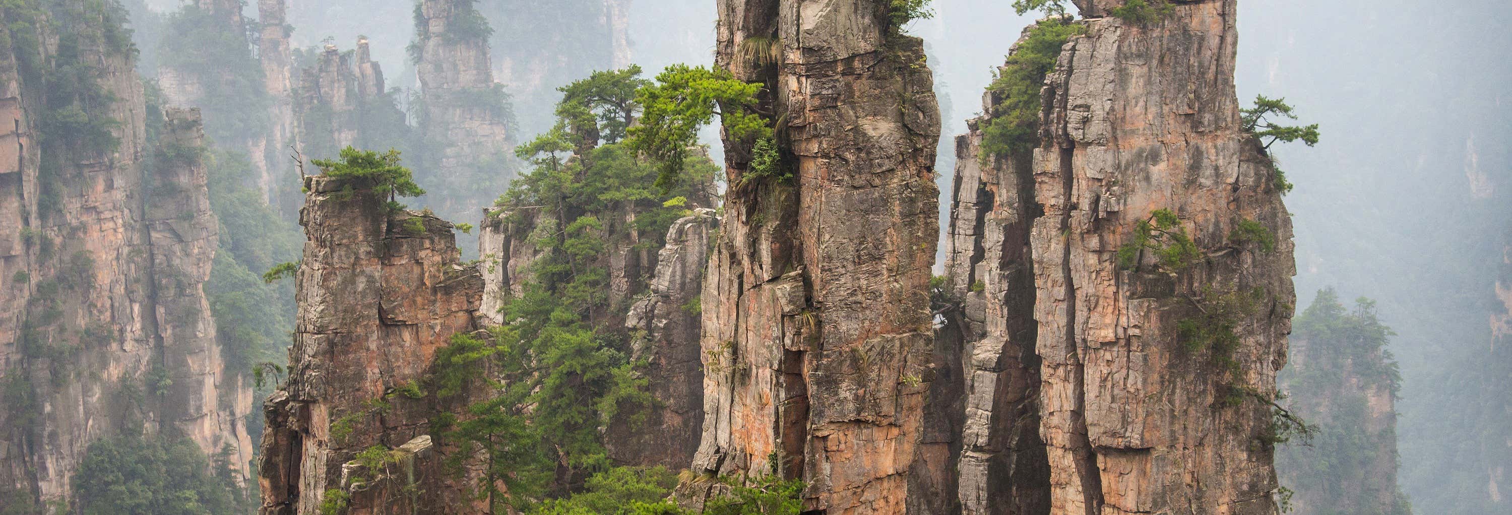Excursión a la montaña Tianzi + Puente de Cristal