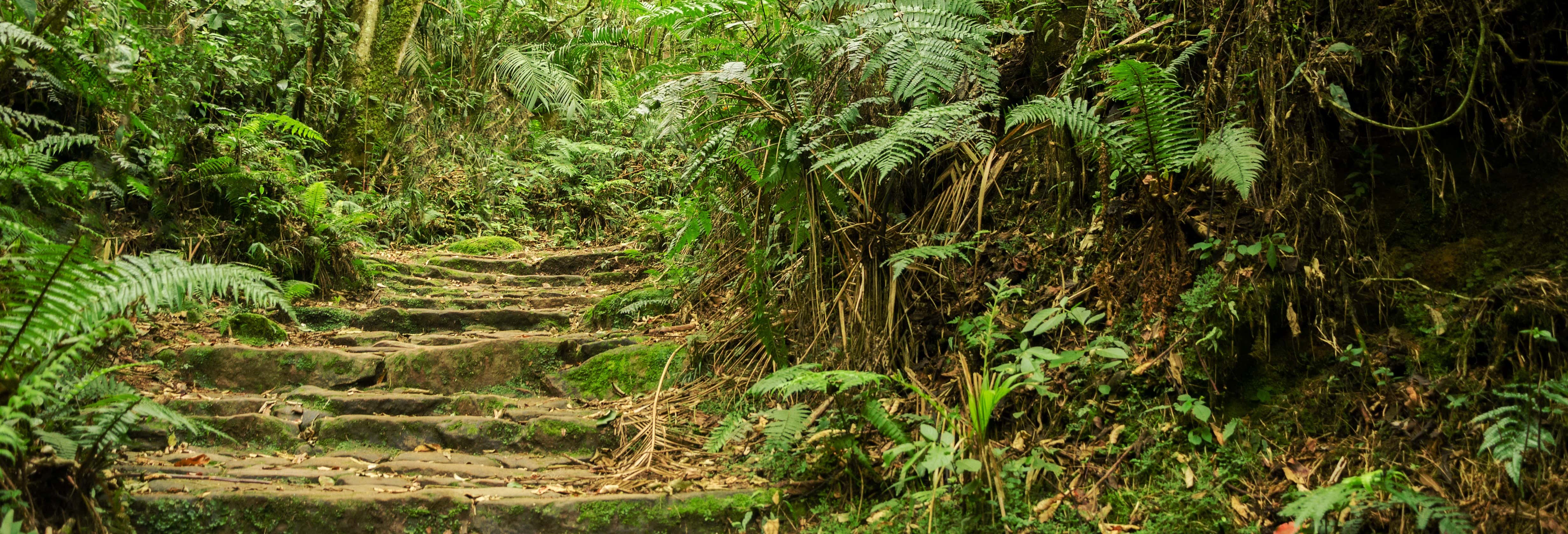Excursión al Parque Natural Chicaque