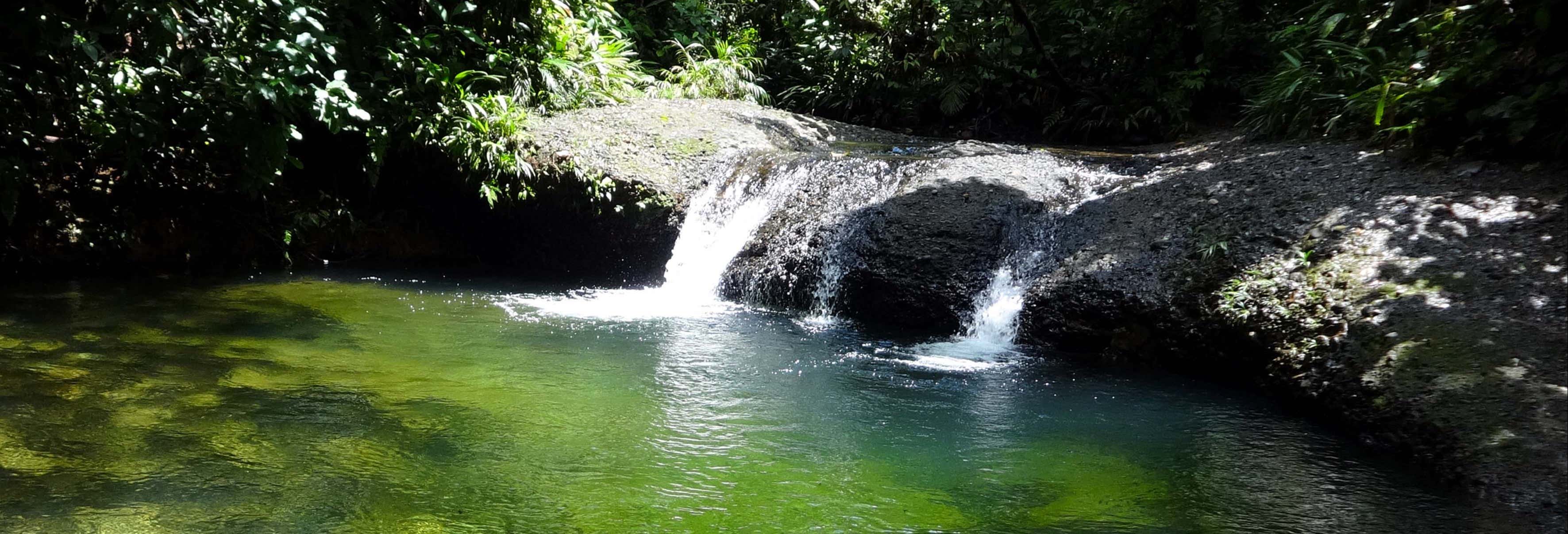 Excursión a la Reserva Natural San Cipriano