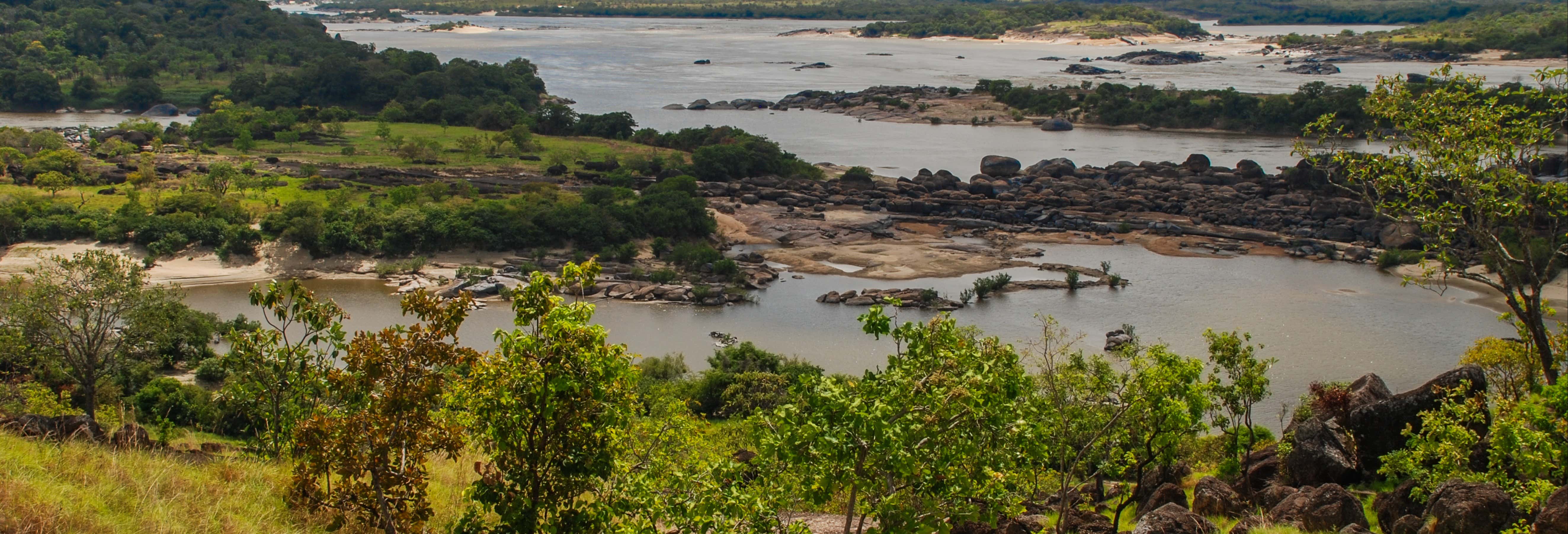 Tour de 4 días por el Orinoco