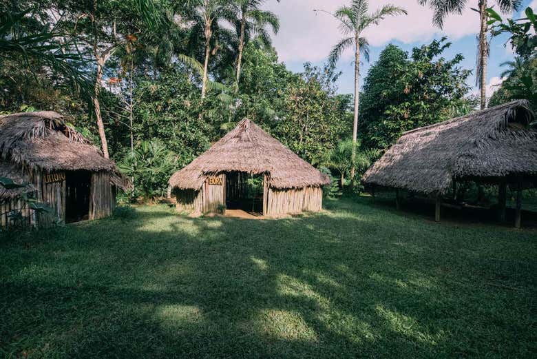 Uitotos(Amazonía 9.000 habitantes)
Las Malocas son las casas de palma 
donde viven.