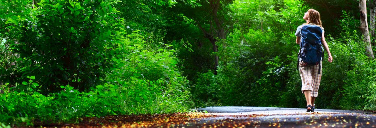 Excursión al Parque Arví